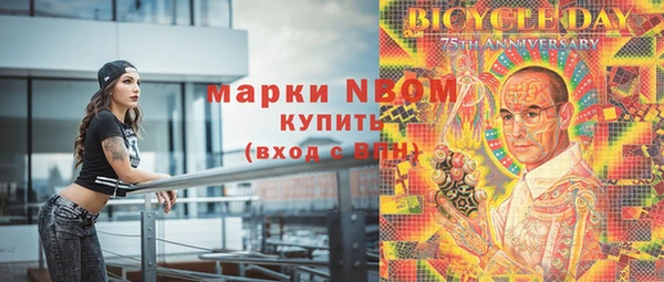 прущий лед Новозыбков