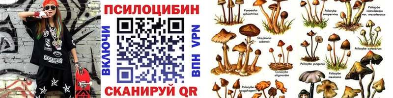 Галлюциногенные грибы GOLDEN TEACHER  Змеиногорск 